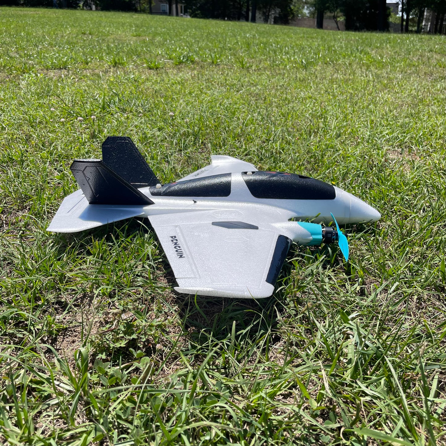 AtomRC Penguin - Imp