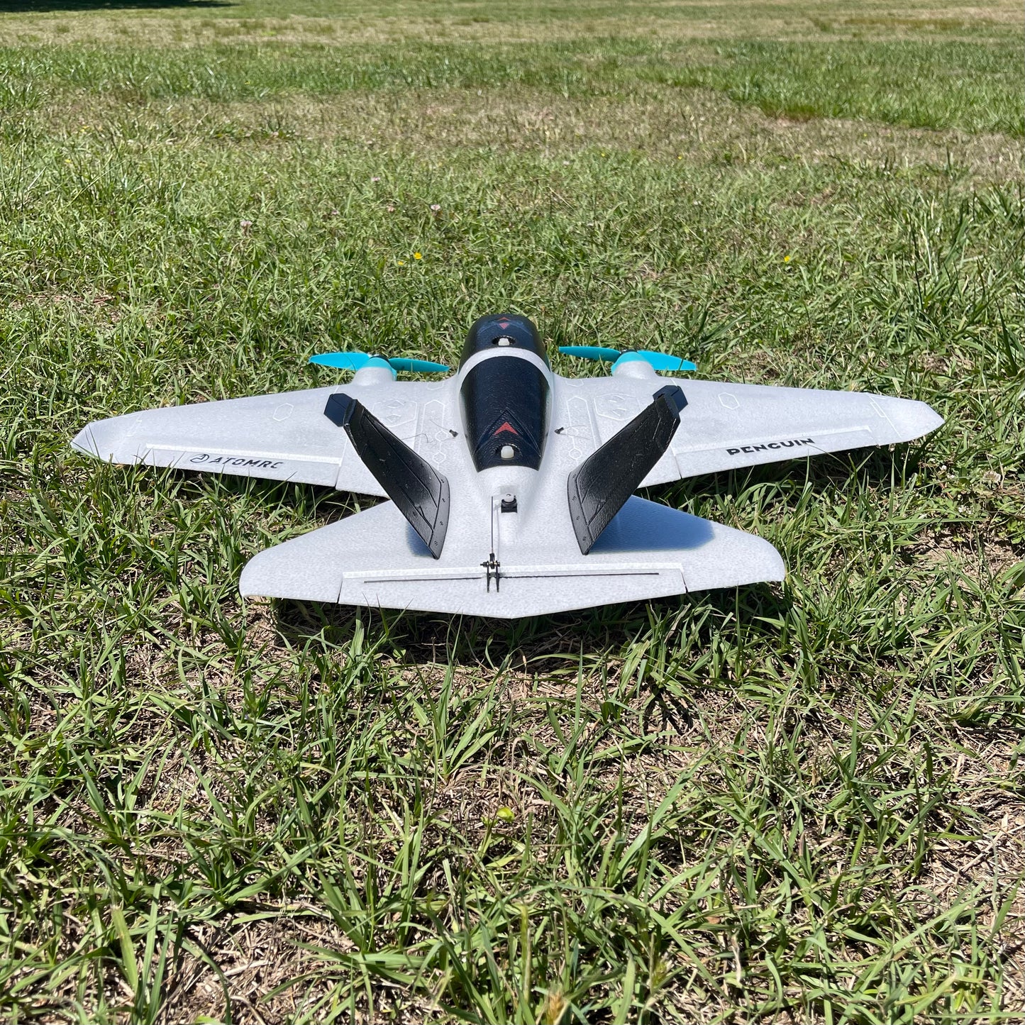 AtomRC Penguin - Imp