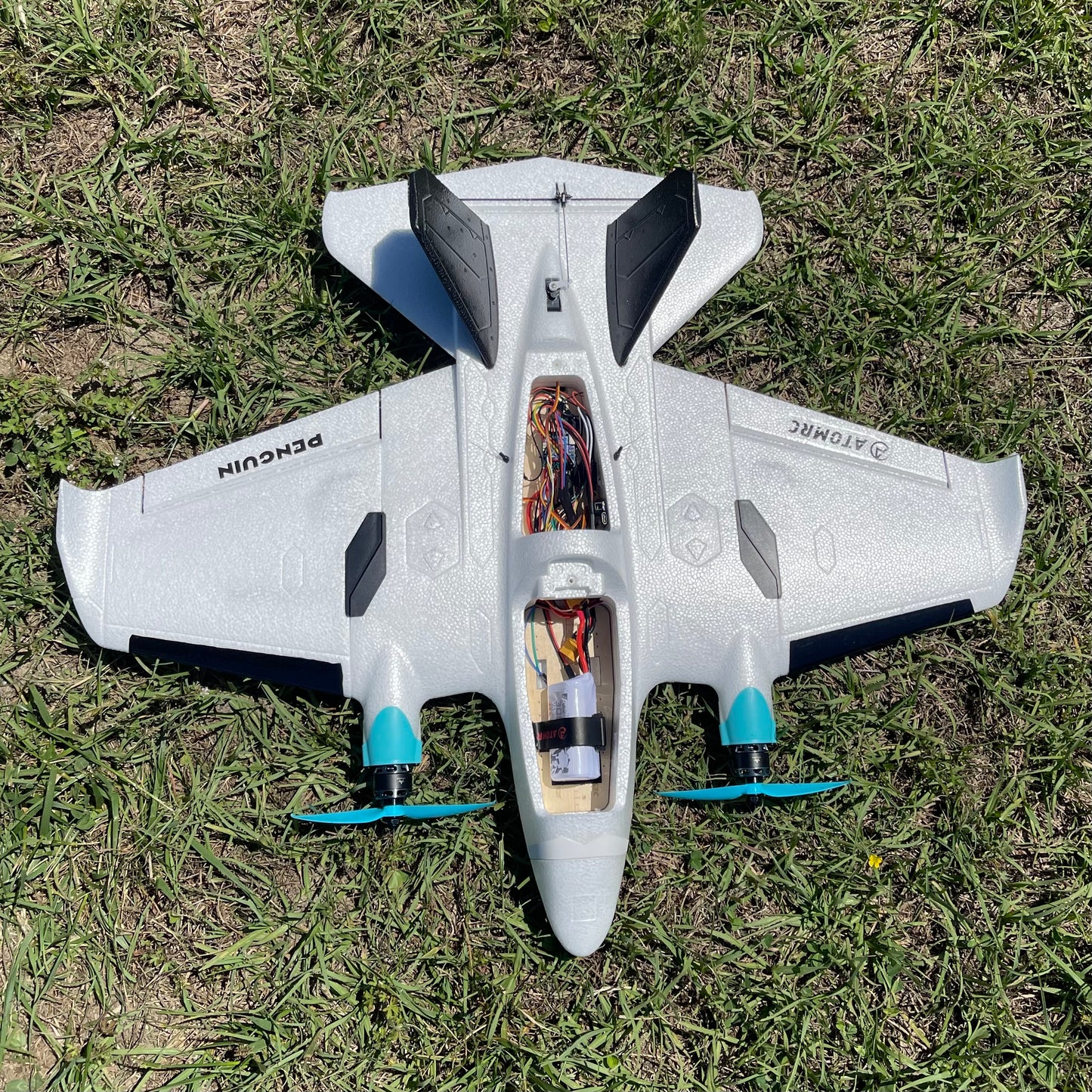 AtomRC Penguin - Imp